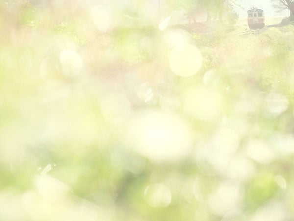 £�ꤿ���ʤ��0015�ۤҤ����ʤ�����Ŵƻ