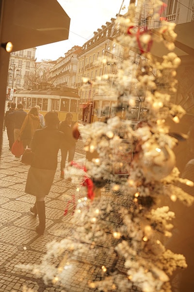 £ꤿʤ0020ۥݥȥ ꥹܥ