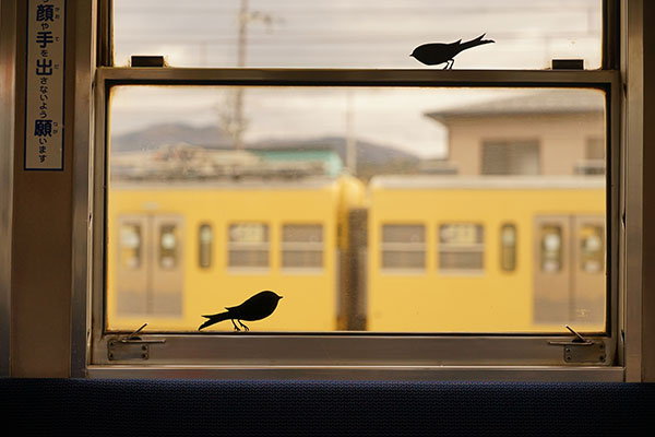 £�ꤿ���ʤ��0036�۶ṾŴƻ ����