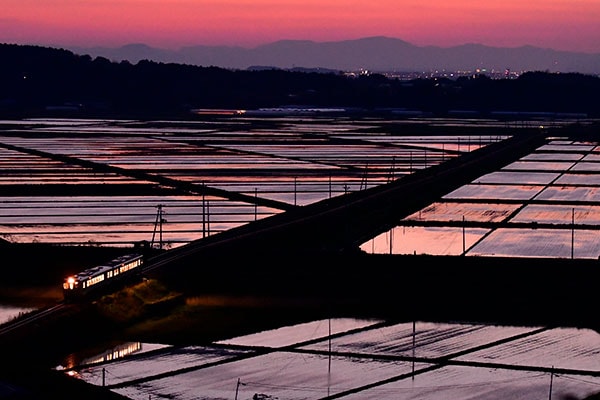 £�ꤿ���ʤ��0037���д��� ����