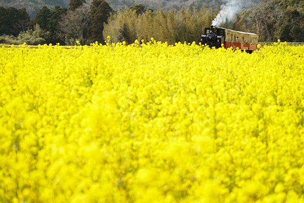 ֤֡0018۾̫ƻ пκڤβȪ