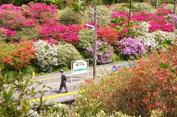 �֤���֡�0019�۾����� ��ο��ؤΥĥĥ�