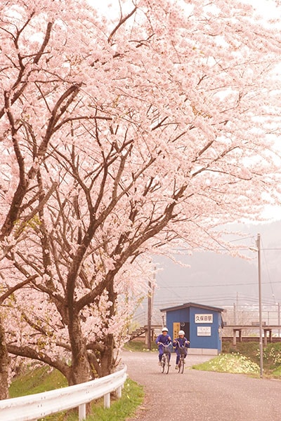 ֤֡0026ͳ⸶Ŵƻ ıؤκ