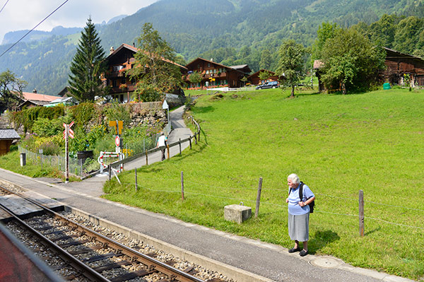 ��������ʡ�0006���л��ż֤���μ�������