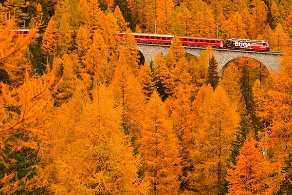 ��������ʡ�0038�ۥ졼�ƥ��å���Ŵƻ