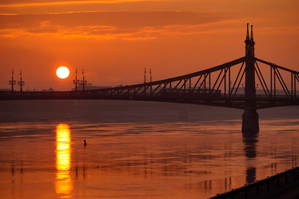 ���������0002�ۥϥ󥬥꡼ �֥��ڥ��Ȼ���