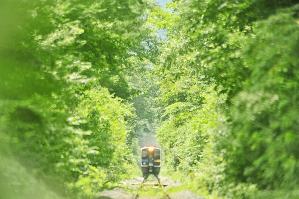 ���������0018�۾����� ��