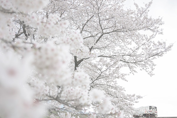 ���¡�0004�ۼ�����򡣤ɤ��ޤǤ�̵���ǡ�������