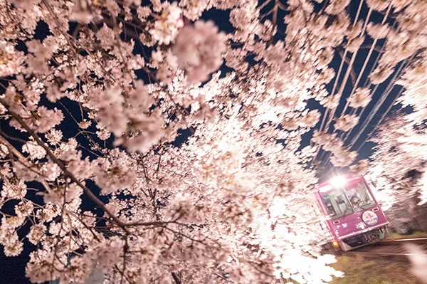 ¡0011ۥ񤦡դ򡣸Τ褦ˡ