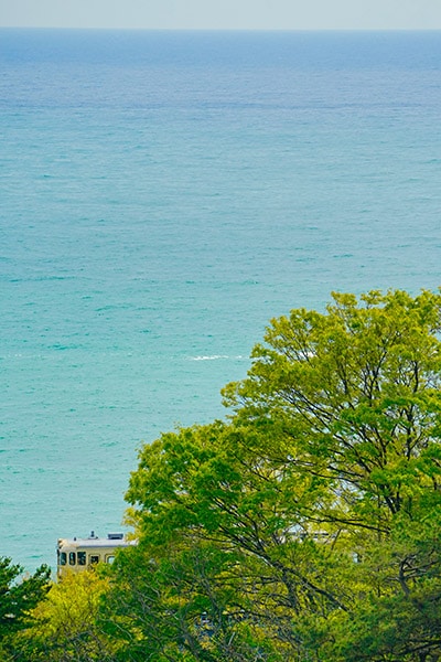 ���¡�0019��ι��ϡ������न�뿹�θ������ˡ�