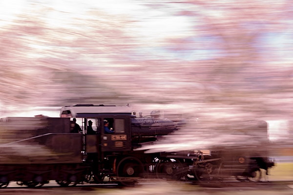 ���¡�0023�ۺ����⤫�Ӥ����롢ƴ��Υ��륨�åȡ�