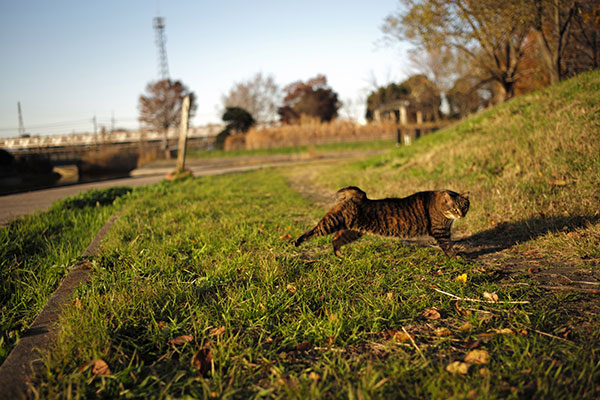 ¡0034⡢ִ֤Ϣ³ʤʤ