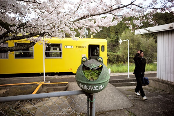 ���¡�0036�۲���ꡢ���줬�����������