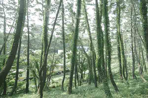 TOKYO��0003�۹��ͤο�