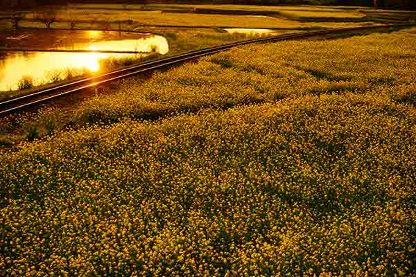 SNRO��0003�۽դ�;��