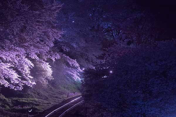 SNRO��0035�������ϭ