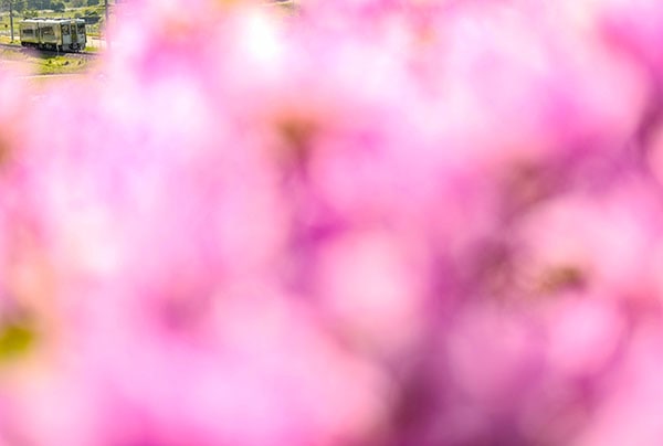 LEICA��0026�۳�����