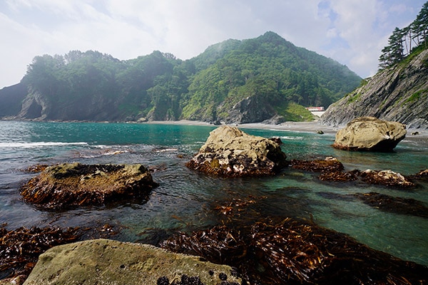 HPY0009ۻΦŴƻ Φγ