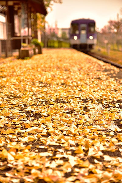 HPY0010̾Ŵƻ դΥۡ