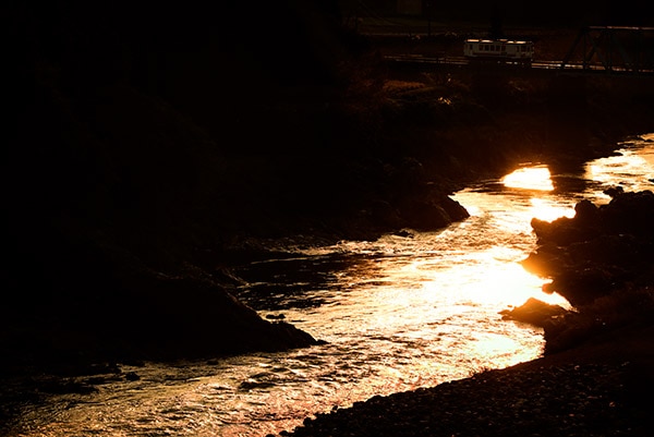 HPY��0012��Ĺ����Ŵƻ �����