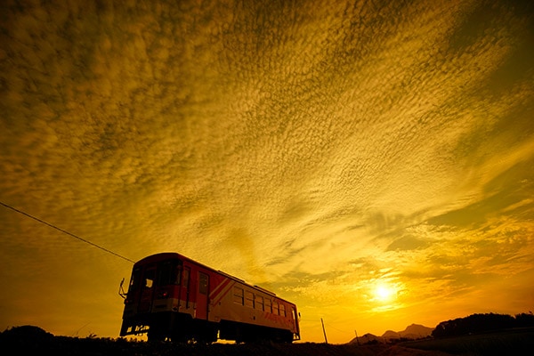 HPY��0013���̾�Ŵƻ ͼ�Ƥ���