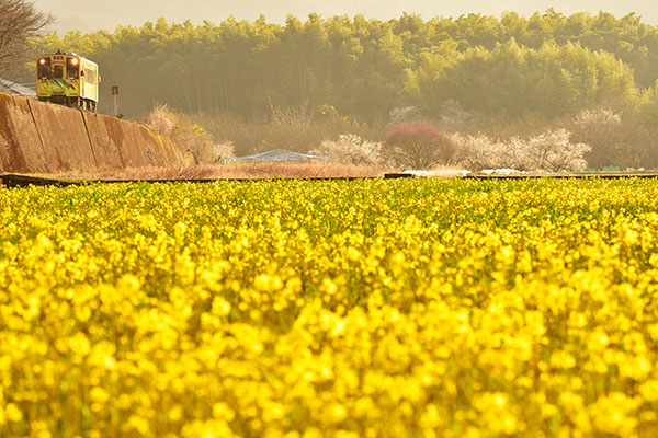 HPY��0016�۶���Ŵƻ �ڤβ�