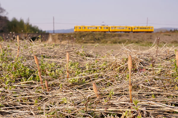 HPY��0017�ۻ���Ŵƻ������ �ĥ���