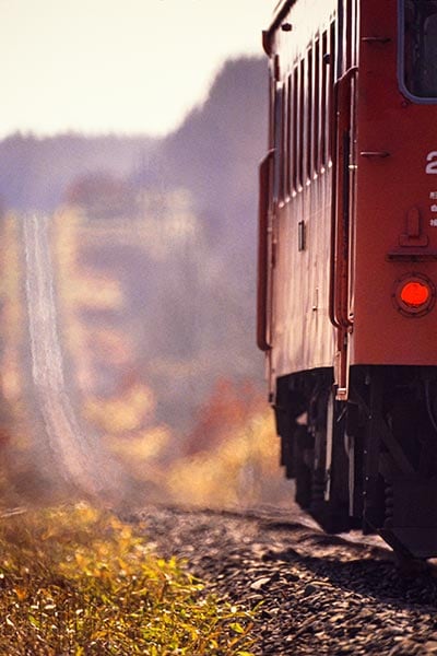 FILM1��0004��ɸ����