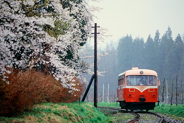 FILM1��0011�������Ĵ�Ŵƻ