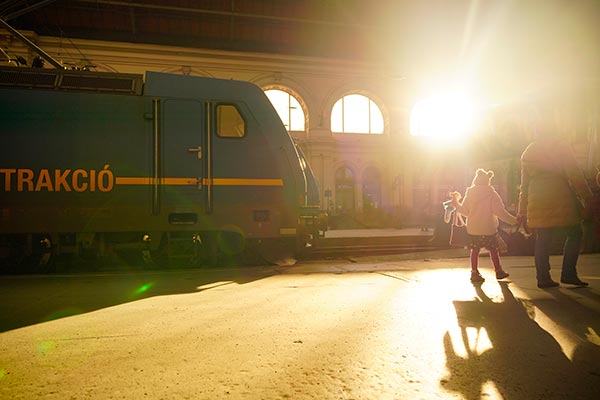 IMP��0005�ۥϥ󥬥꡼ �֥��ڥ������