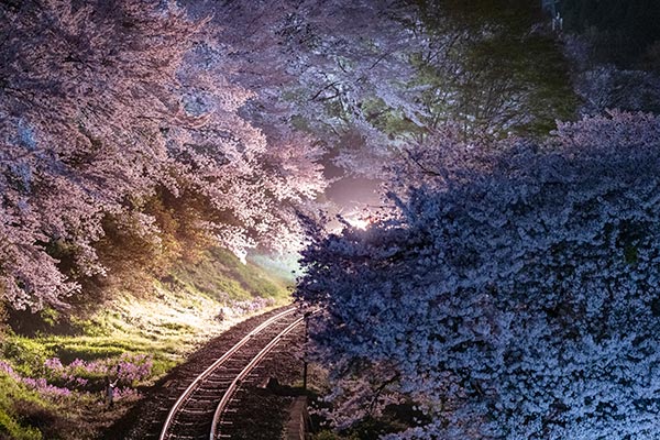 NOMAD1��0012�ۤ錄�餻��ë��ƻ ���