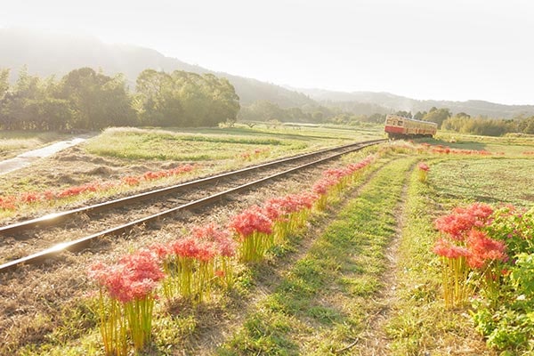 NOMAD1��0041�۾�̫��ƻ ��߲֤�ƻ