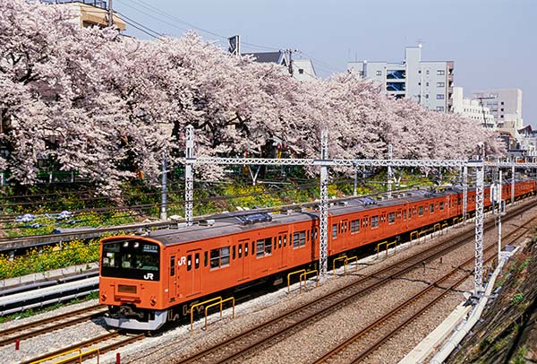 �Ⱦͻ�NOMAD��0002�������201�ϤȺ�