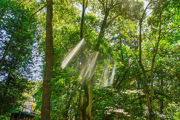 ȾͻNOMAD0003۵Ƭ Ƭ