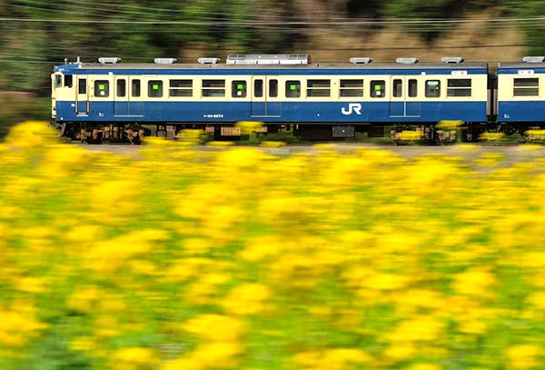 ξ��NOMAD��0002�ۥ�����115�ϤȺڤβ�ή��