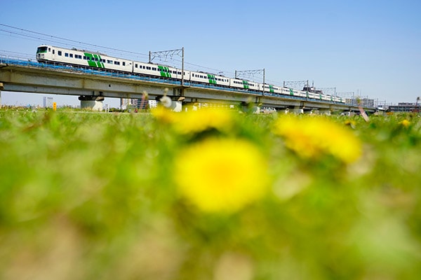 ξ��NOMAD��0004��185���õ��٤��