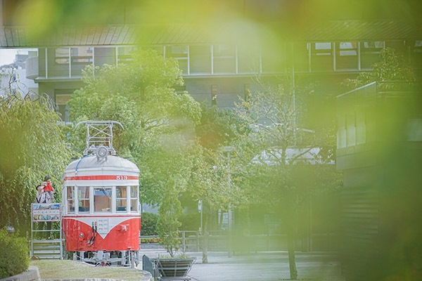 ����NOMAD��0002�ۿƻҤ�ë��513��¸��ξ