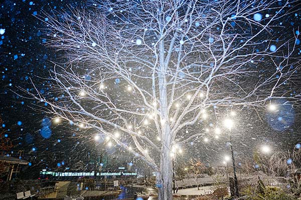 ����NOMAD��0001�ۤ��ʤ�Ŵƻ ��ߤ뾮������