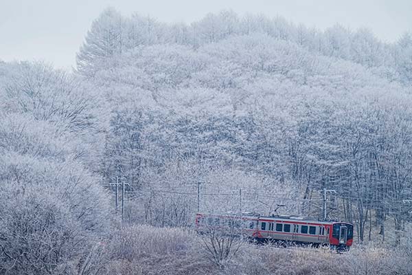 ����NOMAD��0002�ۤ��ʤ�Ŵƻ ̸ɹ��ī