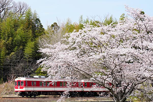 ���ͻ���NOMAD��0006�ۿ�����Ŵ