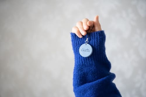 �ڿ�����Choito�������ߥ֥롼