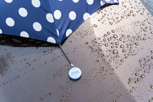 �ڿ�����Choito�������ߥ֥롼