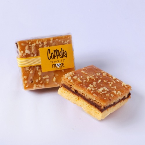 おすすめセレクト　キャトル