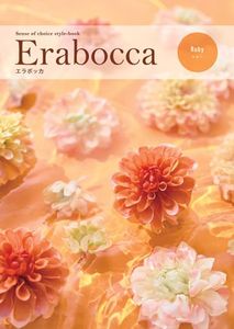 ����ܥå�����ӡ�