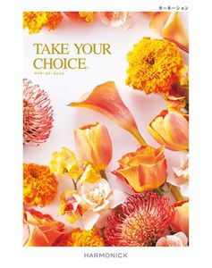 �ƥ����楢���祤���������͡������