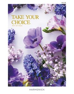 �ƥ����楢���祤�����ͥ��