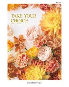 �ƥ����楢���祤��������ߥ�