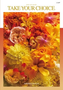 �ƥ����楢���祤�����ߥ⥶