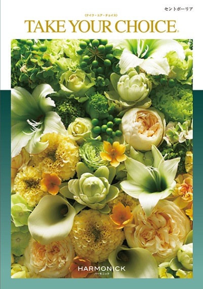 テイクユアチョイス セントポーリア