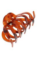 ハノーバー ジョー（タートイズ）|SALE